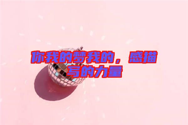 你我的夢(mèng)我的,感描寫的力量