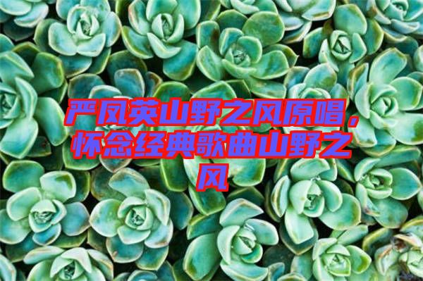 嚴鳳英山野之風原唱,懷念經典歌曲山野之風