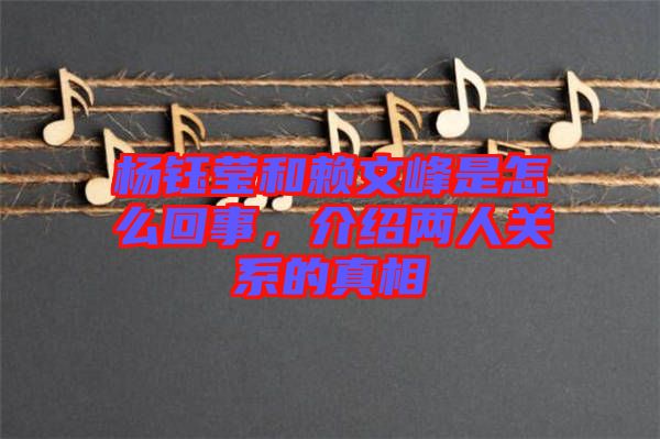 楊鈺瑩和賴文峰是怎么回事,介紹兩人關系的真相
