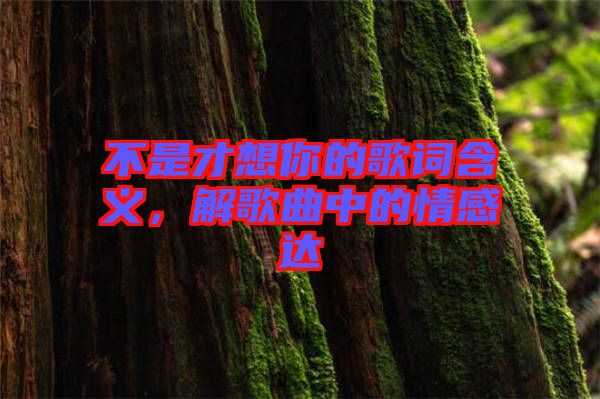 不是才想你的歌詞含義，解歌曲中的情感達(dá)