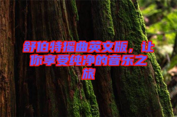 舒伯特搖曲英文版,讓你享受純凈的音樂之旅