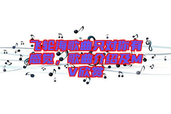 飛輪海歌曲只對(duì)你有感覺(jué),歌曲介紹及MV欣賞