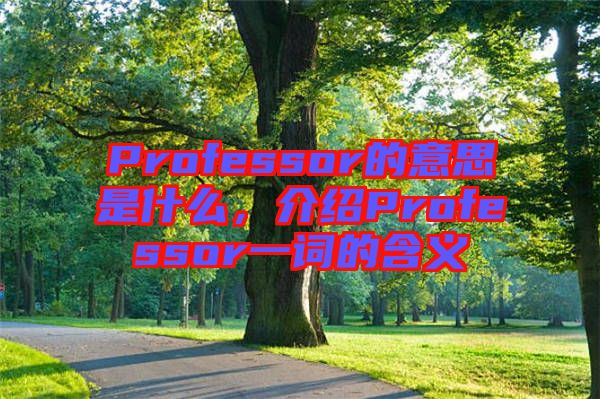 Professor的意思是什么，介紹Professor一詞的含義