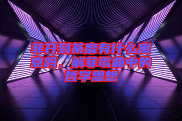 菲開到荼靡有什么寓意嗎，解菲歌曲中的哲學思想