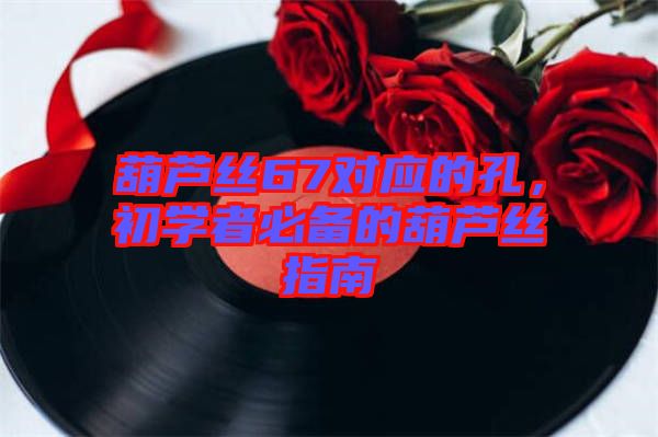 葫蘆絲67對應的孔,初學者必備的葫蘆絲指南