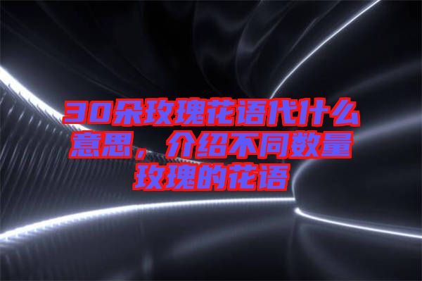 30朵玫瑰花語代什么意思,介紹不同數量玫瑰的花語