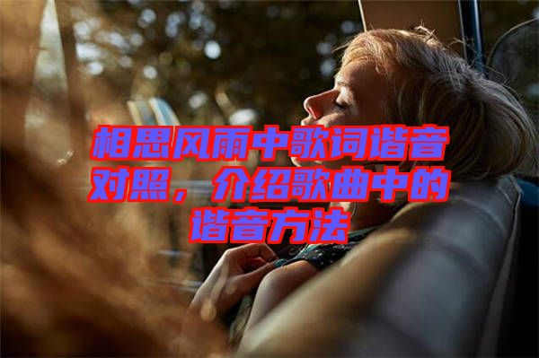 相思風雨中歌詞諧音對照,介紹歌曲中的諧音方法
