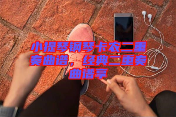 小提琴鋼琴卡農二重奏曲譜,經典二重奏曲譜享