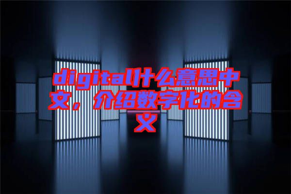 digital什么意思中文,介紹數(shù)字化的含義