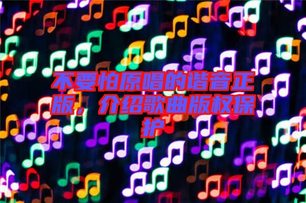 不要怕原唱的諧音正版，介紹歌曲版權保護