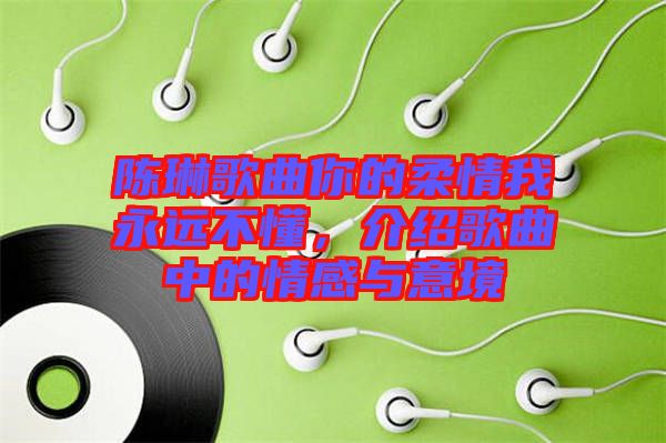 陳琳歌曲你的柔情我永遠不懂,介紹歌曲中的情感與意境