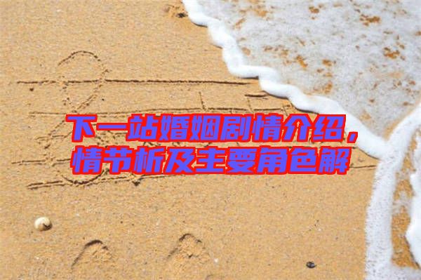 下一站婚姻劇情介紹,情節析及主要角色解
