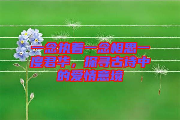 一念執(zhí)著一念相思一度君華，探尋古詩中的愛情意境