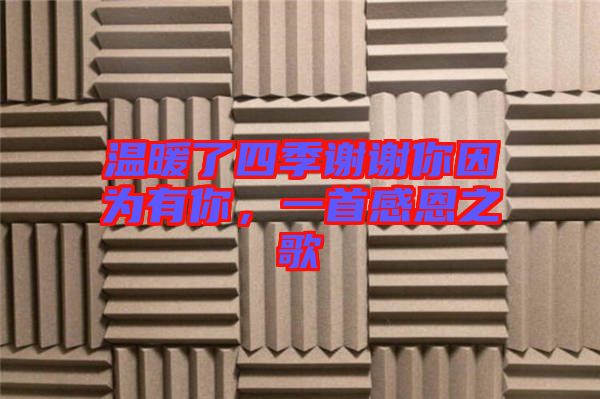 溫暖了四季謝謝你因?yàn)橛心悖皇赘卸髦? width=