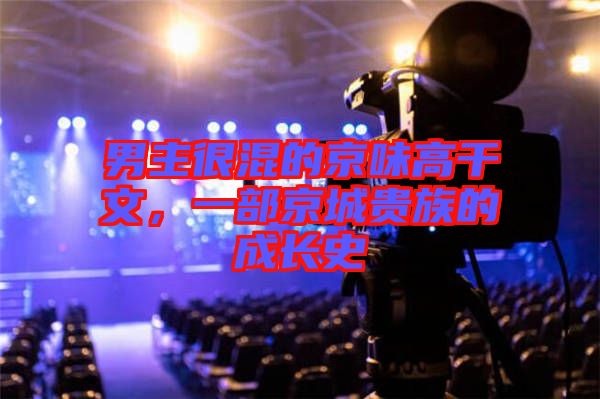 男主很混的京味高干文,一部京城貴族的成長史