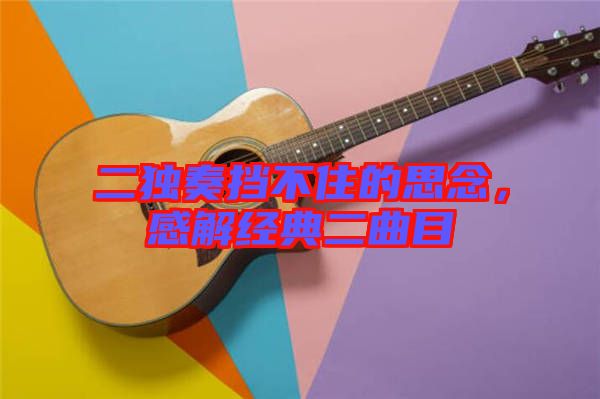 二獨奏擋不住的思念,感解經典二曲目