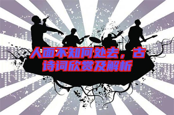 人面不知何處去,古詩(shī)詞欣賞及解析