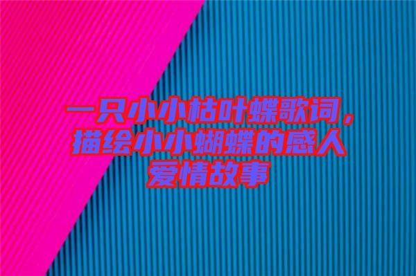 一只小小枯葉蝶歌詞,描繪小小蝴蝶的感人愛(ài)情故事