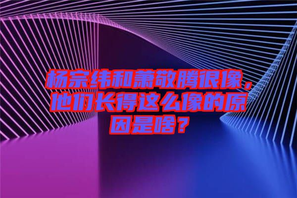 楊宗緯和蕭敬騰很像,他們長(zhǎng)得這么像的原因是啥?