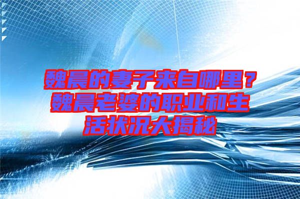 魏晨的妻子來自哪里?魏晨老婆的職業(yè)和生活狀況大揭秘
