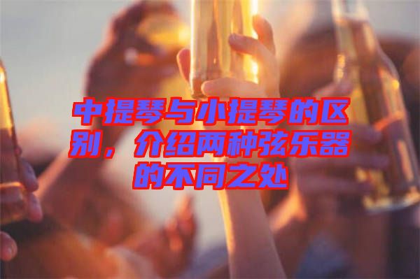 中提琴與小提琴的區(qū)別,介紹兩種弦樂(lè)器的不同之處