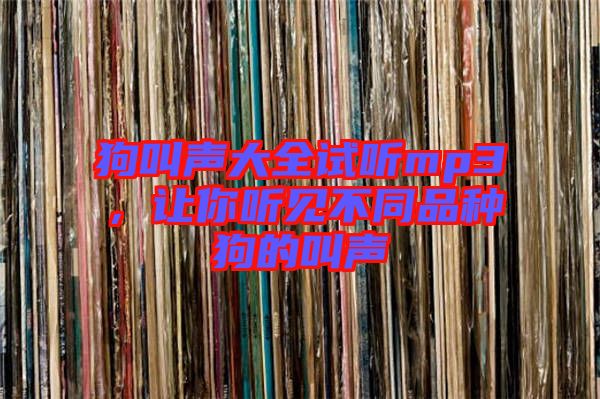 狗叫聲大全試聽(tīng)mp3,讓你聽(tīng)見(jiàn)不同品種狗的叫聲