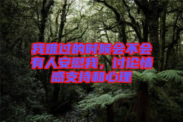 我難過的時候會不會有人安慰我,討論情感支持和心理