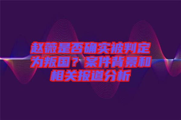 趙薇是否確實(shí)被判定為叛國(guó)?案件背景和相關(guān)報(bào)道分析