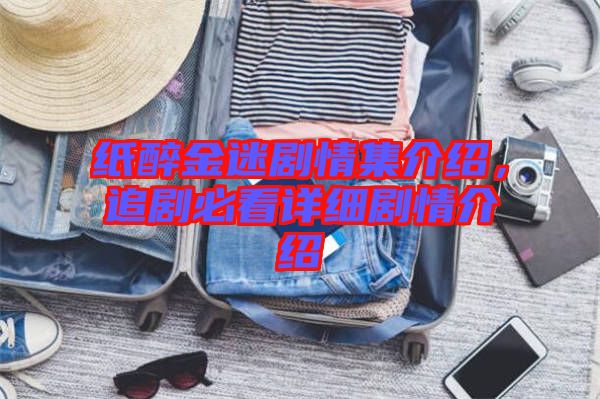 紙醉金迷劇情集介紹,追劇必看詳細(xì)劇情介紹