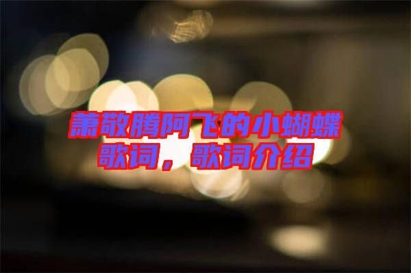 蕭敬騰阿飛的小蝴蝶歌詞，歌詞介紹