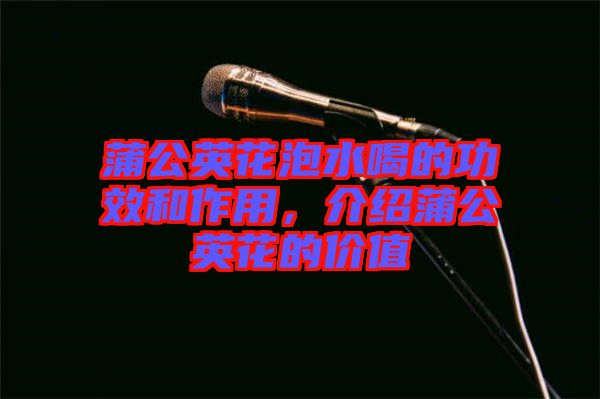 蒲公英花泡水喝的功效和作用,介紹蒲公英花的價(jià)值
