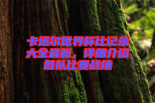 卡塔爾世界杯比記錄大全最新,詳細介紹各隊比賽戰(zhàn)績
