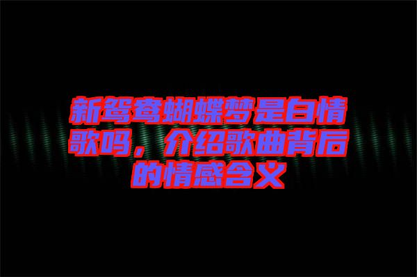 新鴛鴦蝴蝶夢(mèng)是白情歌嗎,介紹歌曲背后的情感含義