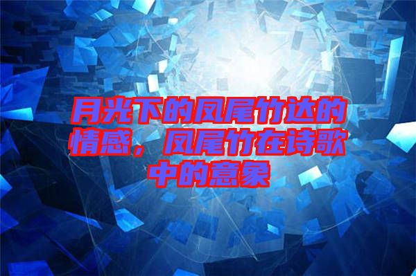月光下的鳳尾竹達(dá)的情感,鳳尾竹在詩歌中的意象
