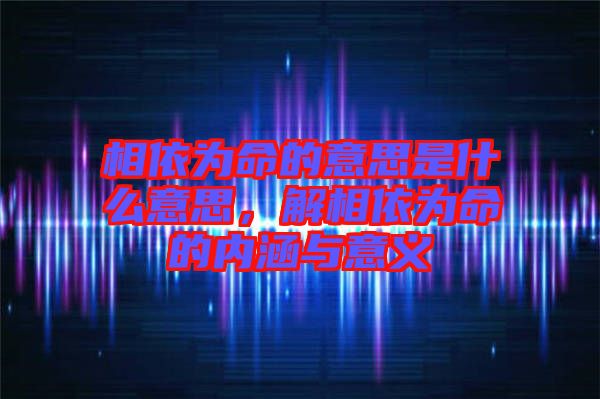 相依為命的意思是什么意思,解相依為命的內(nèi)涵與意義