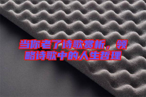 當(dāng)你老了詩(shī)歌賞析,領(lǐng)略詩(shī)歌中的人生哲理