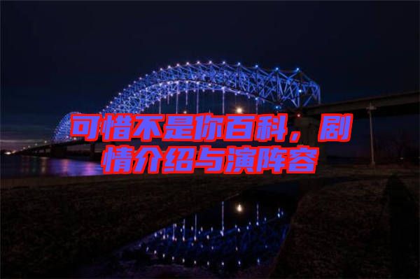可惜不是你百科,劇情介紹與演陣容
