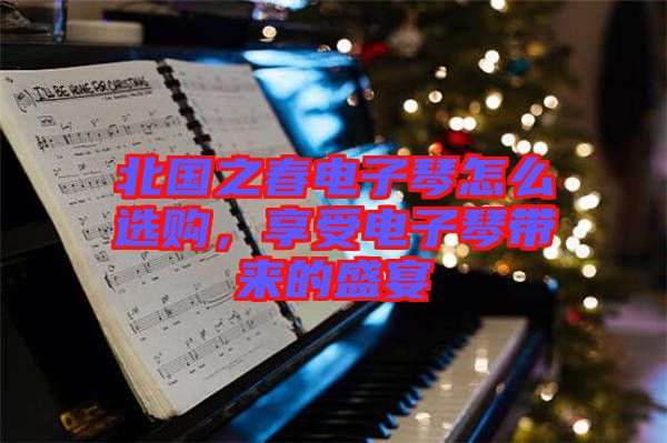 北國之春電子琴怎么選購,享受電子琴帶來的盛宴