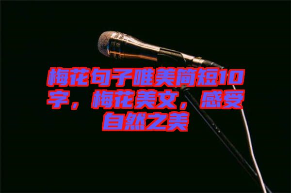 梅花句子唯美簡短10字,梅花美文,感受自然之美