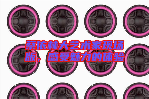 蔡依林大藝術家現場版,感受魅力的體驗