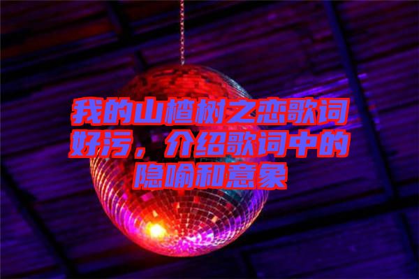 我的山楂樹之戀歌詞好污,介紹歌詞中的隱喻和意象