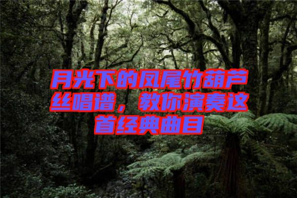 月光下的鳳尾竹葫蘆絲唱譜,教你演奏這首經(jīng)典曲目