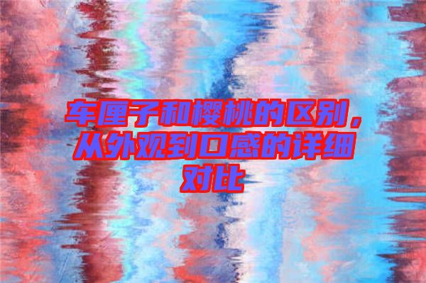 車厘子和櫻桃的區別，從外觀到口感的詳細對比