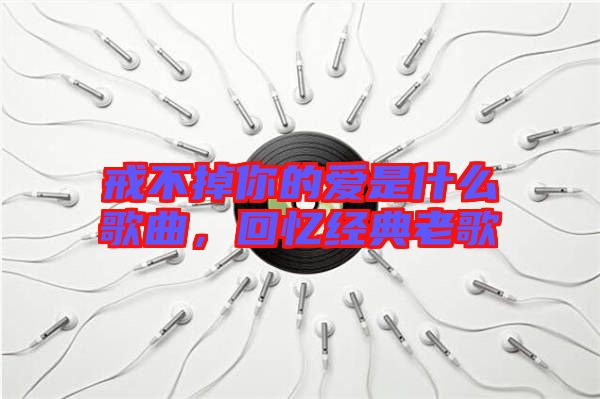 戒不掉你的愛是什么歌曲，回憶經典老歌