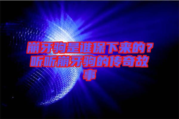 崩牙駒是誰(shuí)保下來(lái)的?聽聽崩牙駒的傳奇故事