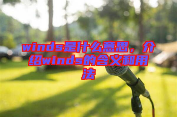 winds是什么意思，介紹winds的含義和用法