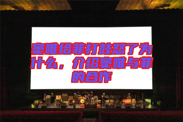 竇唯給菲打鼓怒了為什么,介紹竇唯與菲的合作