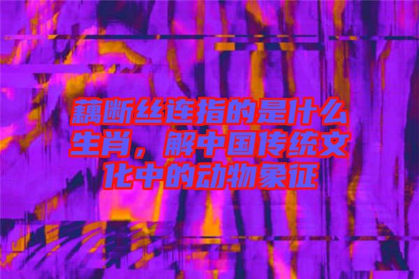 藕斷絲連指的是什么生肖，解中國(guó)傳統(tǒng)文化中的動(dòng)物象征