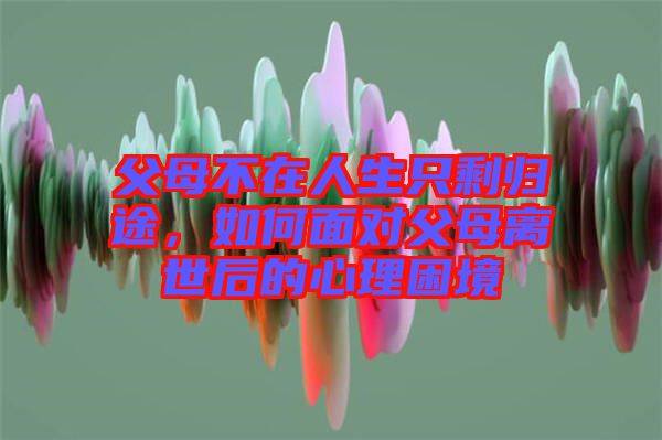 父母不在人生只剩歸途,如何面對(duì)父母離世后的心理困境