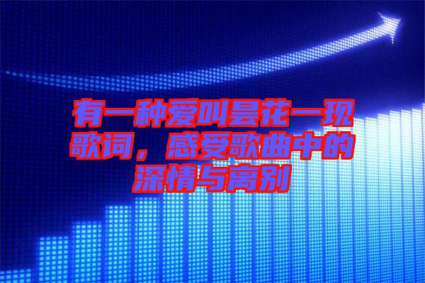 有一種愛叫曇花一現歌詞,感受歌曲中的深情與離別